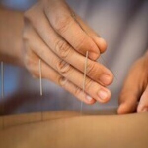 Elodie AMMON Saint-Clément-de-Rivière, Entreprise locale