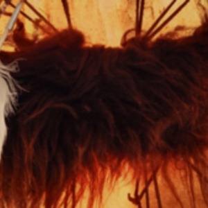 Chamane Guérisseuse - Sandra Gayraud - Hautes Pyrénées Castelnau-Magnoac, Entreprise locale