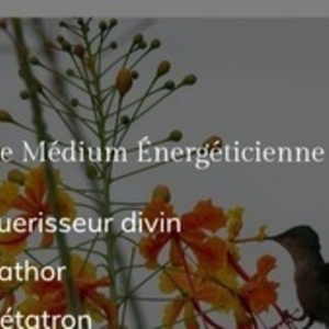 Anatoe La Gacilly, Entreprise locale