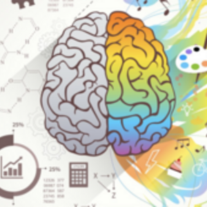 Anaïs Robin Malinge Argonay, Entreprise locale