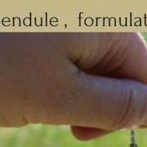 christophe le bellour Lanester, Entreprise locale