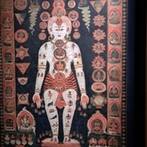 Carole VALIER Paris 16, Entreprise locale