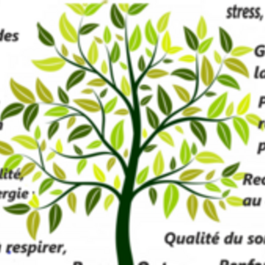 Sandrine Macé Louverné, Entreprise locale