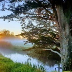 CABINET DE PSYCHOTHERAPIES JEAN-MICHEL GERBAIS Saint-Jean-de-Monts, Entreprise locale