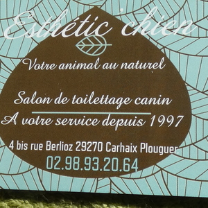 Esthetic'Chien. Votre animal au naturel Carhaix-Plouguer, Toilettage de chiens et chats