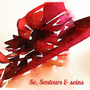 So, Senteurs et Soins Vedène, Lithothérapie, Bijouterie fantaisie (fabrication, gros)