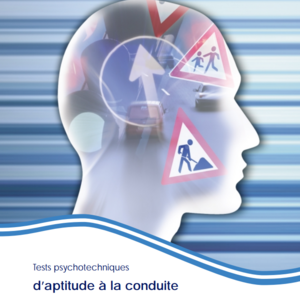 Anne Béatrice Ben Aoun Beauvais, Psychologue