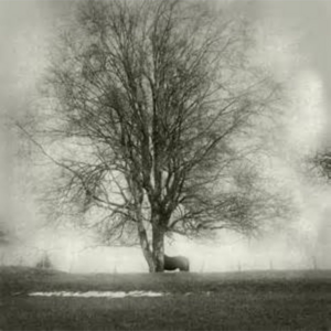 Isabelle  Braibant Photographies  Vigneulles-lès-Hattonchâtel, Photographe professionnel