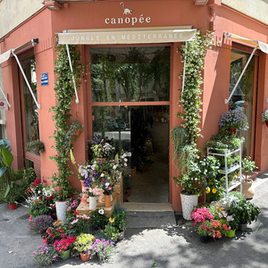 CANOPEE MARSEILLE Marseille, Jardinerie, Fleuriste