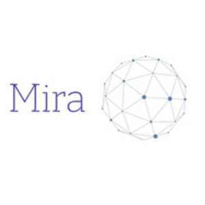 Mira Saint-Étienne, Création de site internet