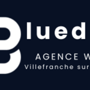 Agence web Villefranche sur Saône - Bluedia Villefranche-sur-Saône, Agence web, Web, Webmaster