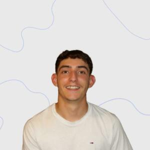 Thomas Hugonnet Alzonne, Webmaster