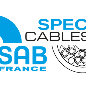 SAB France Pont-Saint-Martin, Electricité industrielle, Entreprise électrique