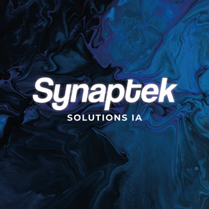 Synaptek Annecy-le-Vieux, Développement informatique