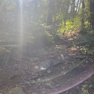 Marjorie Morin  Berrias-et-Casteljau, Artisans du bâtiment