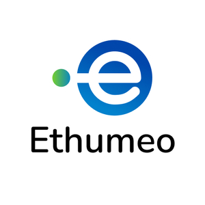 ETHUMEO Lyon, Développement informatique, Web