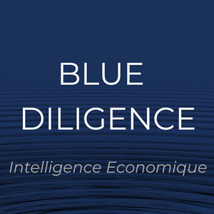 BLUE DILIGENCE Intelligence économique Paris Paris 8, Prestataire de service