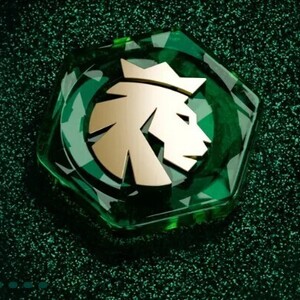 WinLion Toronto, Web