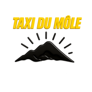 Bonneville VTC Bonneville, Transporteur, Taxi