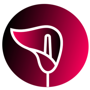 N'JOY MOMENTS Bordeaux, Sexothérapeute, Sexologue, Sexothérapeute