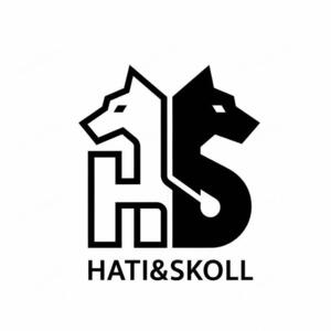 Hati&Skoll Riom, Agence web, Web