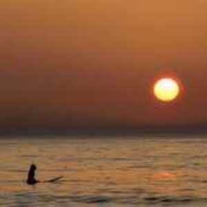 Chimina D'ALMEIDA La Frette-sur-Seine, Entreprise locale