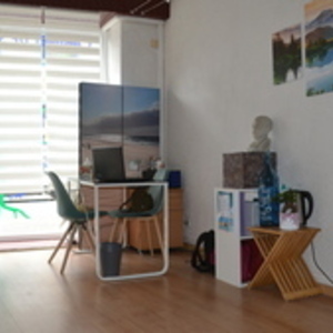 Véronique Raffard Lavelanet, Entreprise locale