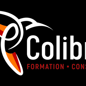 Campoy  Caussade, Consultant, Centre de formation, Formation