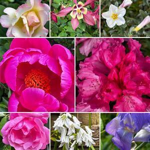 Cabinet infirmier Olivia BLOT Le Pian-Médoc, Entreprise locale