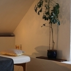 Céline Deltort, Magnétisme - Soins Reiki Bruges-Capbis-Mifaget, Entreprise locale