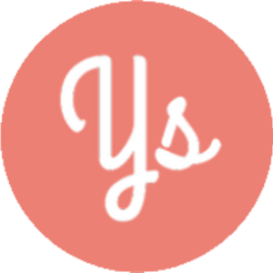 Symplyweb Paris 15, Développement informatique