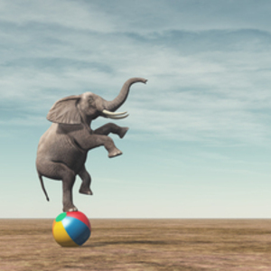 ARPEGE AVOCATS Cannes, Entreprise locale