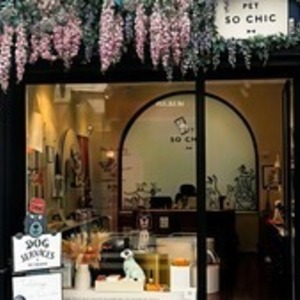 Petsochic Paris 6, Entreprise locale