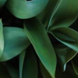 Bertrand FAUCON Chalo-Saint-Mars, Entreprise locale