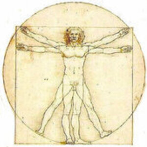 VIRGINIE LAGNEAUX Hourtin, Entreprise locale