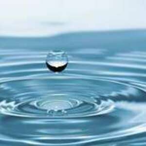 AGIR 3D Paris 6, Entreprise locale