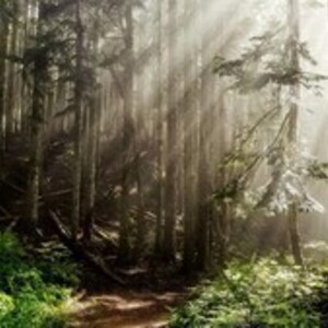 Stephanie Stachon Fressain, Entreprise locale