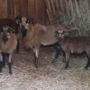 Un pas vers soi Tourves, Entreprise locale