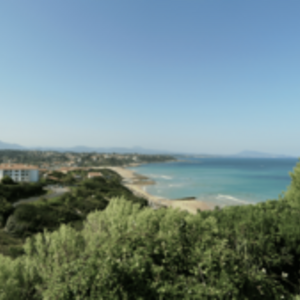 Opeongo Finance Urrugne, Entreprise locale