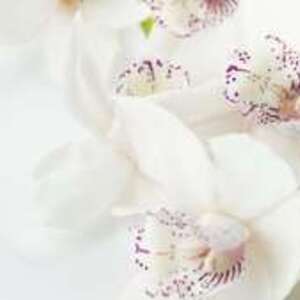 J’OSE - bien être Béziers, Entreprise locale