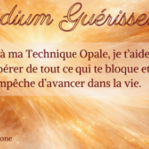 Mélanie Brignone L'Opale Saint-Lys, Entreprise locale