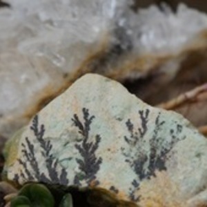 Anatoe Fougères, Entreprise locale