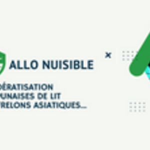 Allô nuisible  Caen, Entreprise locale