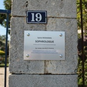 Sylvie Rossignol Champseru, Entreprise locale