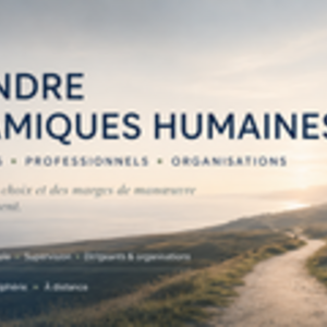 Roland Somville Saint-Julien-en-Genevois, Entreprise locale