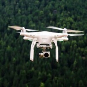SOS FOURNERIE Nuaillé-d'Aunis, Entreprise locale