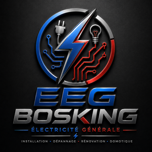 Entreprise d'électricité générale BOSKING Rillieux-la-Pape, Electricité générale, Dépannage électrique, Dépannage de systèmes d'alarme, de surveillance, Dépannage informatique, Domotique