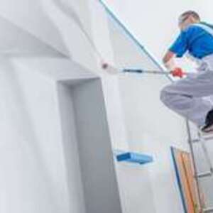 Renovbati  Meysse, Entreprise locale